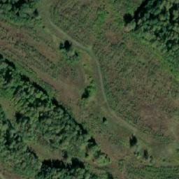 Satellite imagery of Дмитриевка, RU