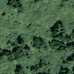 Satellite imagery of Monument 46, CA