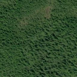 Satellite imagery of Reef Point, US