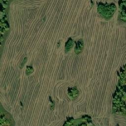 Satellite imagery of Благовещенка, RU