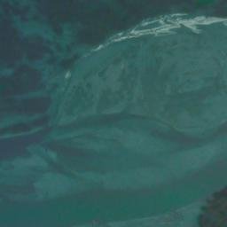 Satellite imagery of Monument 37, CA