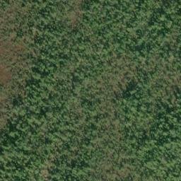 Satellite imagery of Macnamara Point, US