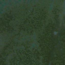 Satellite imagery of Monument 35, CA