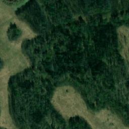 Satellite imagery of Лобановская Избушка, RU