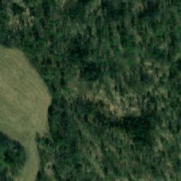 Satellite imagery of Лобановская Избушка, RU