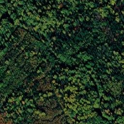 Satellite imagery of Соболевка, RU
