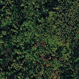 Satellite imagery of Соболевка, RU