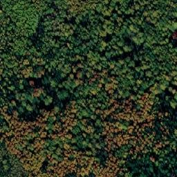 Satellite imagery of Соболевка, RU