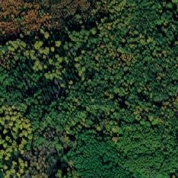 Satellite imagery of Соболевка, RU
