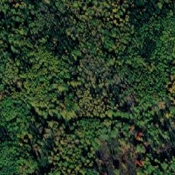 Satellite imagery of Соболевка, RU