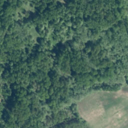 Satellite imagery of Ezergailīšu Velna Akmens, LV