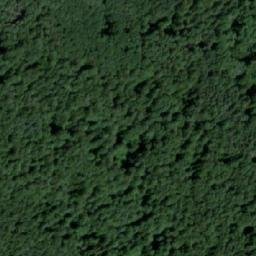 Satellite imagery of Пихтовый, RU