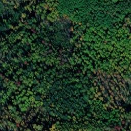 Satellite imagery of Соболевка, RU