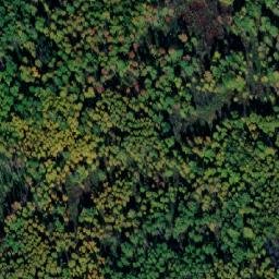 Satellite imagery of Соболевка, RU
