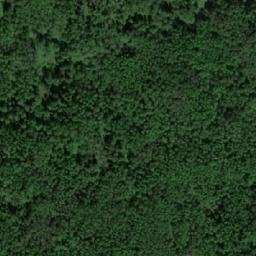 Satellite imagery of Беляковка Сев., RU