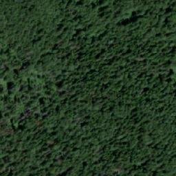 Satellite imagery of Пихтовый, RU