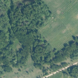 Satellite imagery of Ezergailīšu Velna Akmens, LV