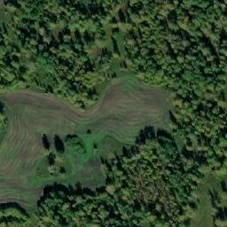 Satellite imagery of Тюменевский, RU