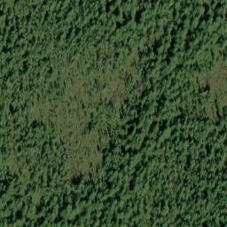 Satellite imagery of Anita Point, US
