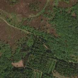 Satellite imagery of Præstbjerg, DK