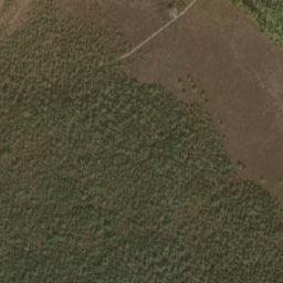 Satellite imagery of Žagarės regioninis parkas, SE