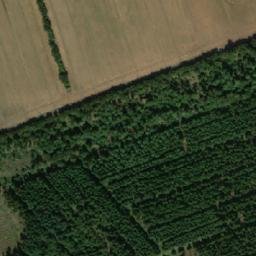 Satellite imagery of Røddinglund Plantage, DK