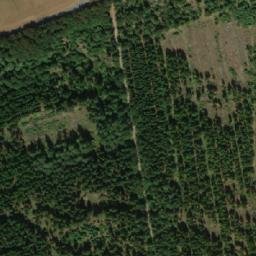 Satellite imagery of Røddinglund Plantage, DK