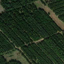 Satellite imagery of Røddinglund Plantage, DK