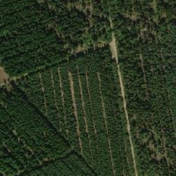 Satellite imagery of Røddinglund Plantage, DK