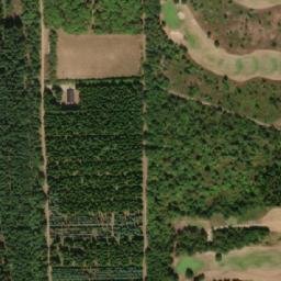 Satellite imagery of Røddinglund Plantage, DK