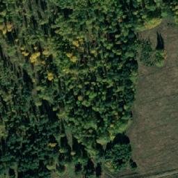 Satellite imagery of Борисоглебское, RU