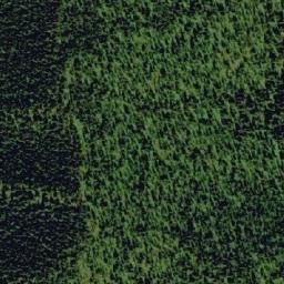 Satellite imagery of Black Bear Ridge, CA
