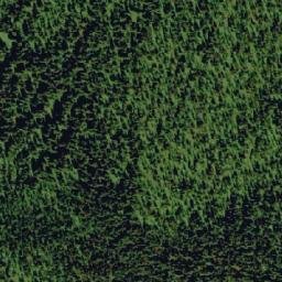 Satellite imagery of Black Bear Ridge, CA