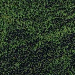 Satellite imagery of Black Bear Ridge, CA