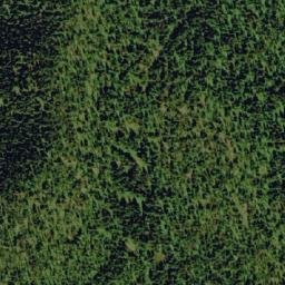 Satellite imagery of Black Bear Ridge, CA