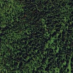Satellite imagery of Black Bear Ridge, CA