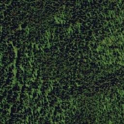 Satellite imagery of Black Bear Ridge, CA