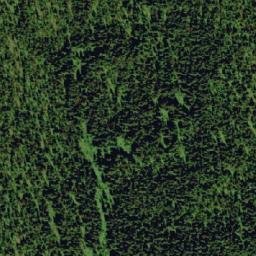 Satellite imagery of Black Bear Ridge, CA
