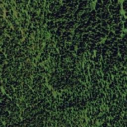 Satellite imagery of Black Bear Ridge, CA