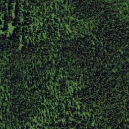 Satellite imagery of Black Bear Ridge, CA