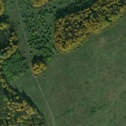 Satellite imagery of Букмыж Южн., RU