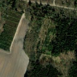 Satellite imagery of Solskov Bjerg, DK