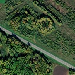 Satellite imagery of Васильевка, RU