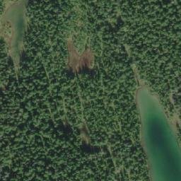Satellite imagery of Poison Mountain, CA