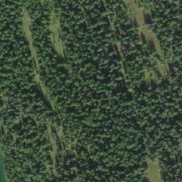 Satellite imagery of Poison Mountain, CA
