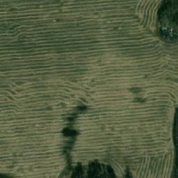 Satellite imagery of Мальцево, RU