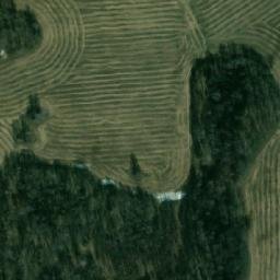 Satellite imagery of Мальцево, RU