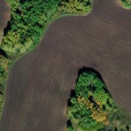 Satellite imagery of Васильевка, RU
