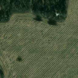 Satellite imagery of Мальцево, RU