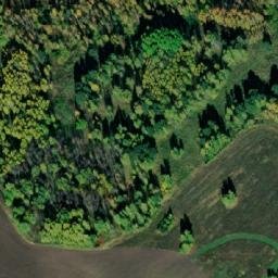 Satellite imagery of Васильевка, RU